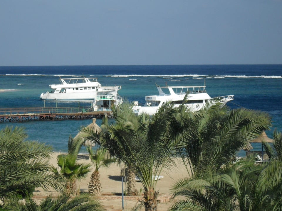 Anlegesteg Utopia Beach Club