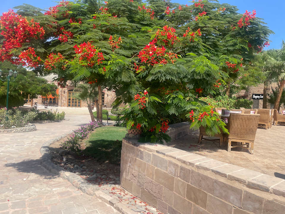 Gartenanlage Utopia Beach Club