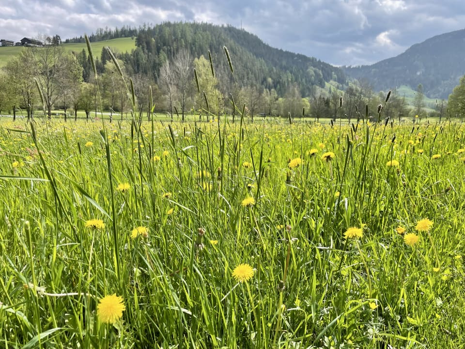 Gartenanlage Hotel Gut Weissenhof