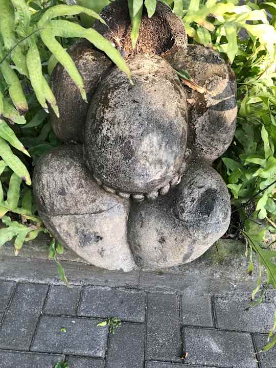 Ausblick Puri Santrian