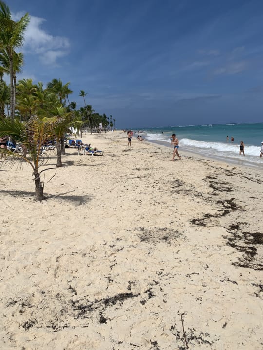 Strand Hotel Riu Palace Punta Cana