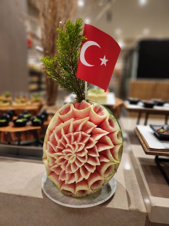 Gastro Arycanda Kirman Premium