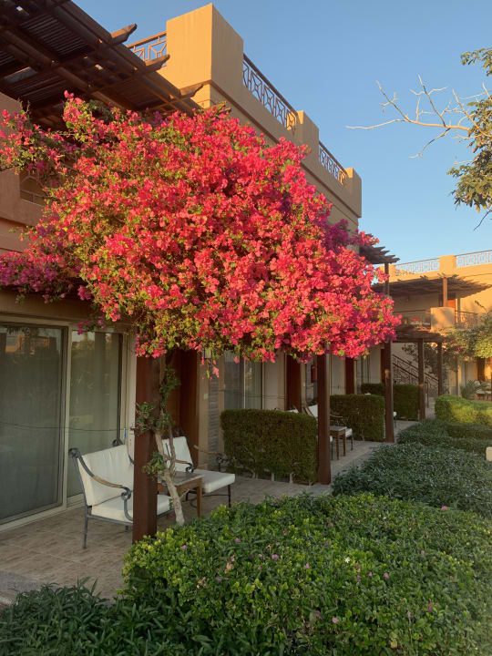 Gartenanlage Shams Prestige Abu Soma-Adults Only