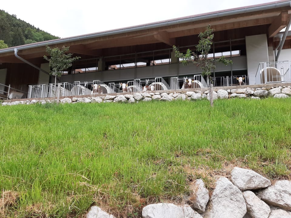 Außenansicht Unterulpointhof