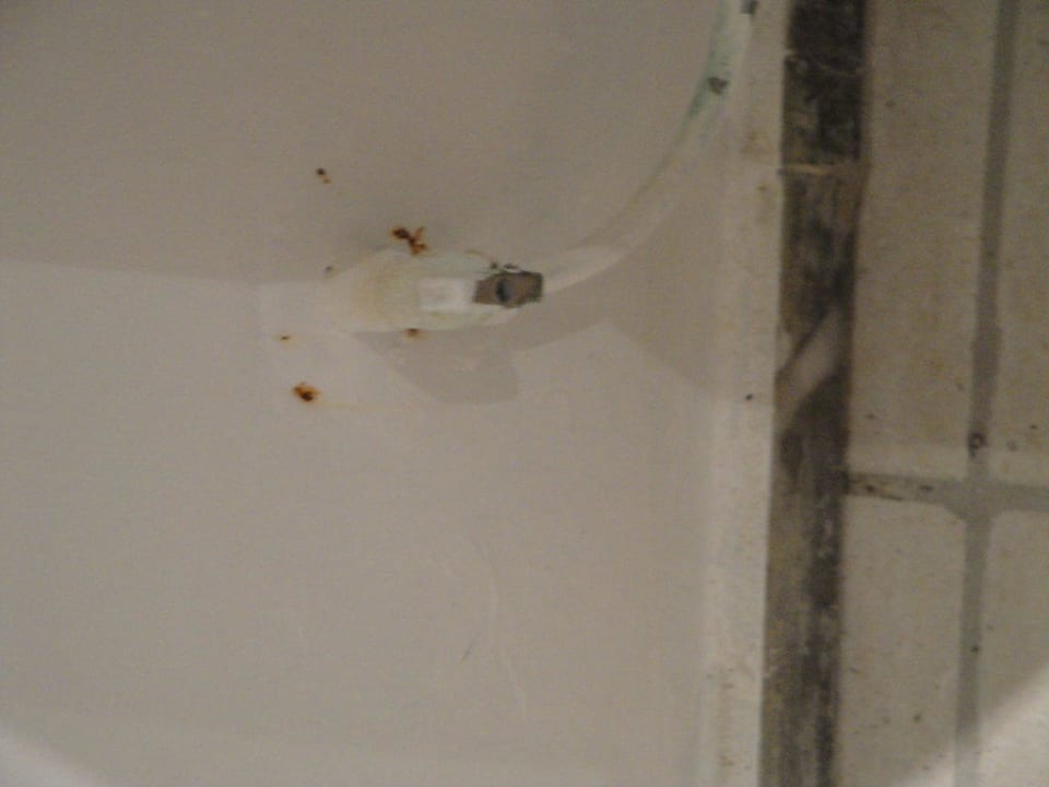 WC-Anschluss Grecotel LUXME Dama Dama