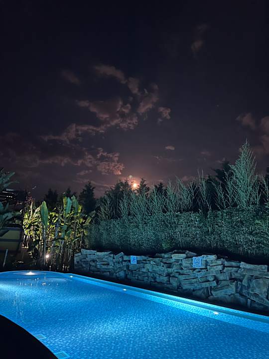 Pool Adalya Elite Lara