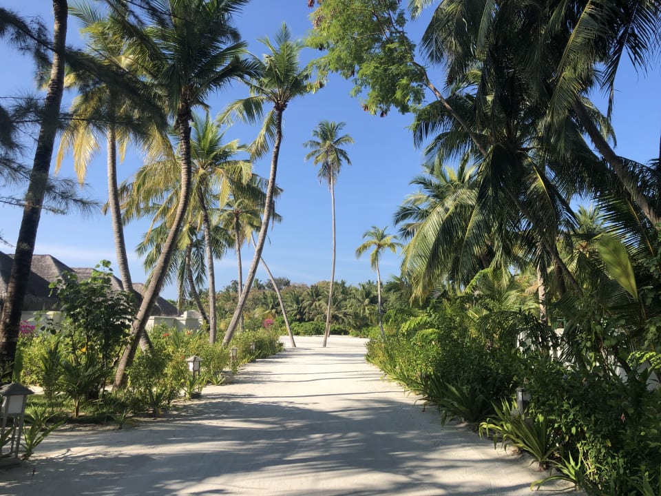 Garten Sun Siyam Olhuveli