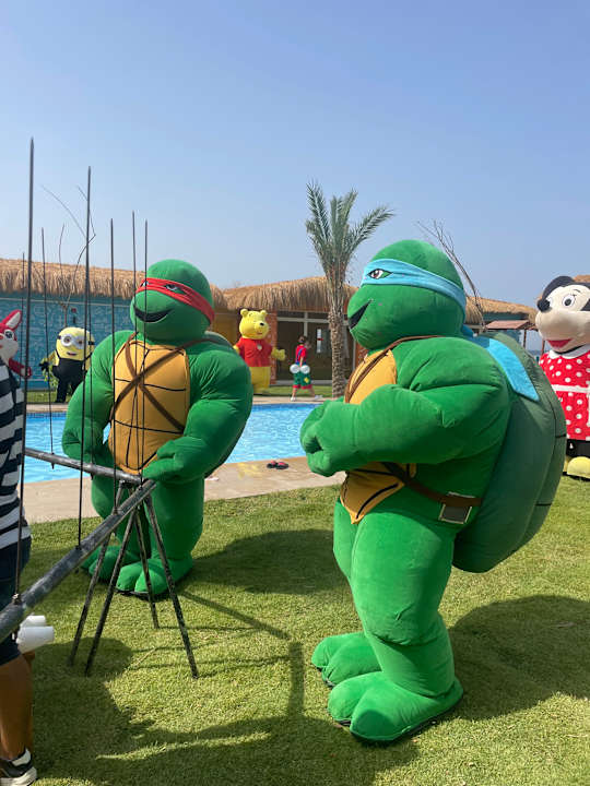 Sport & Freizeit JAZ Elite Asteria