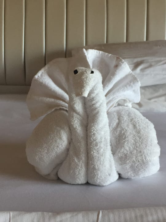 Zimmer Pickalbatros Citadel Resort