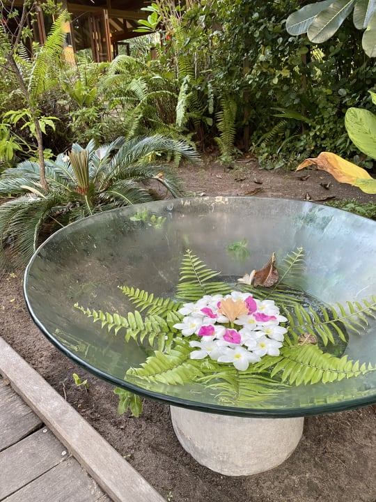 Gartenanlage Meeru Maldives Resort Island