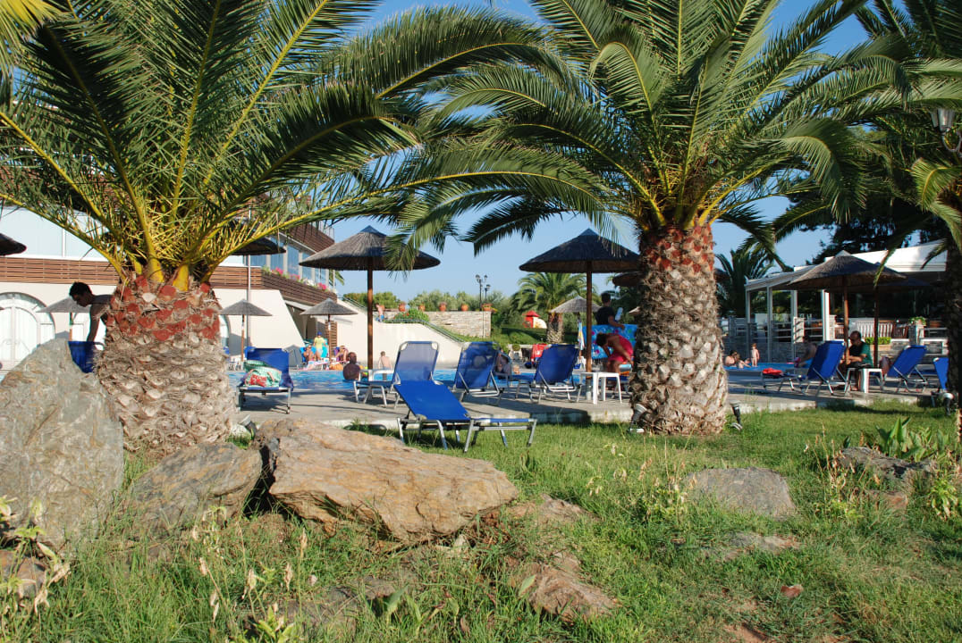 Palmer am Pool Blue Dolphin Resort Hotel