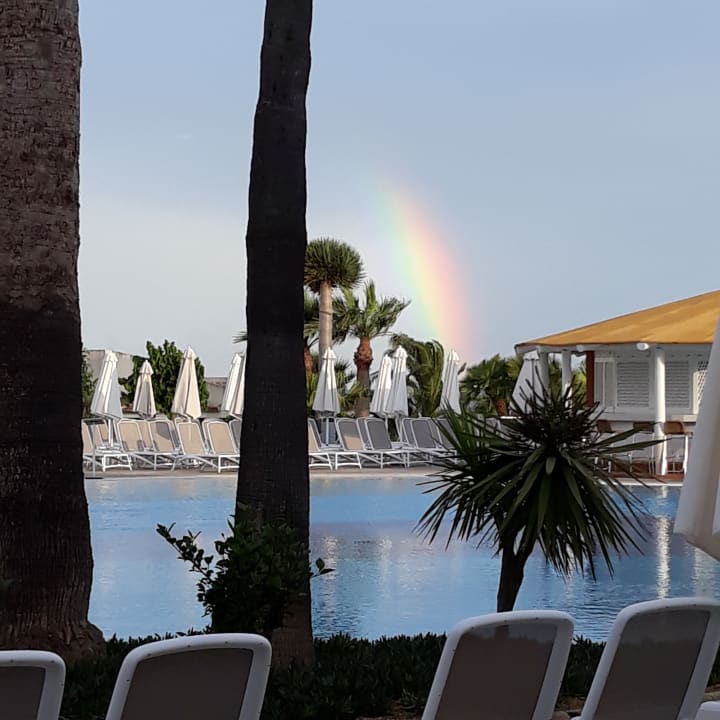 Pool blau punta reina