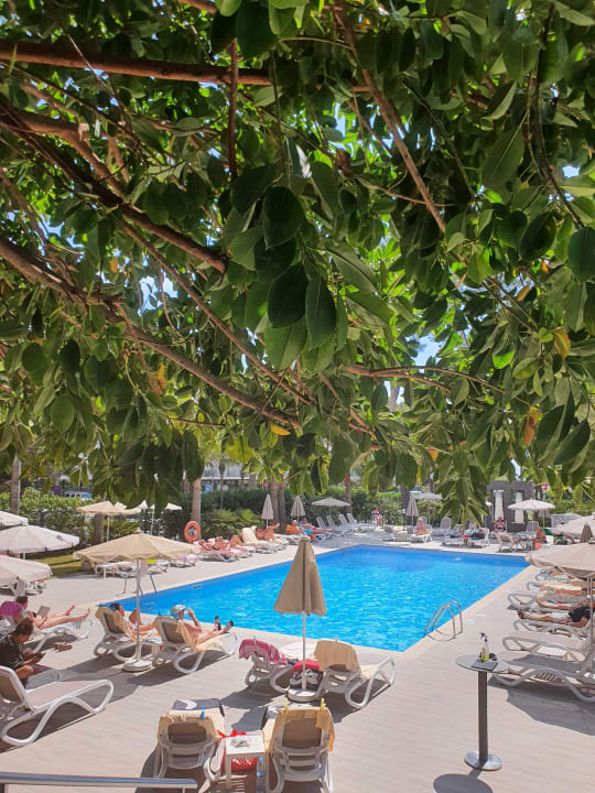 Pool Hotel Riu Festival