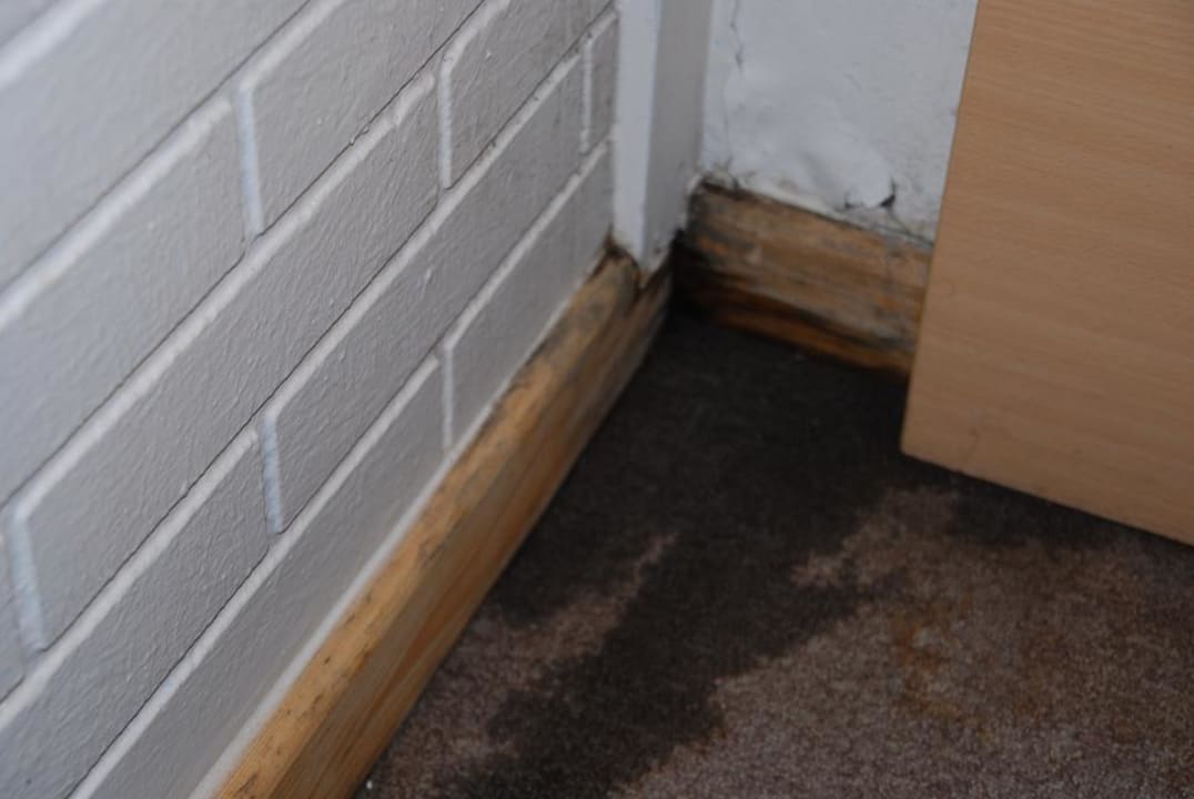 Center Parcs Park De Haan Center Parcs Park De Haan