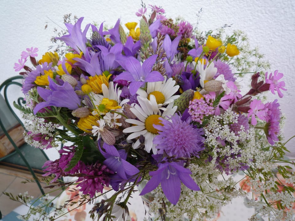 Wiesenblumenstrauss Sonklarhof