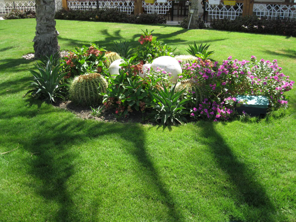 Gartenanlage Royal Lagoons Resort & Aqua Park