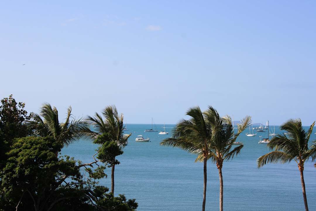 Ausblick vom Zimmer Hotel Airlie Beach