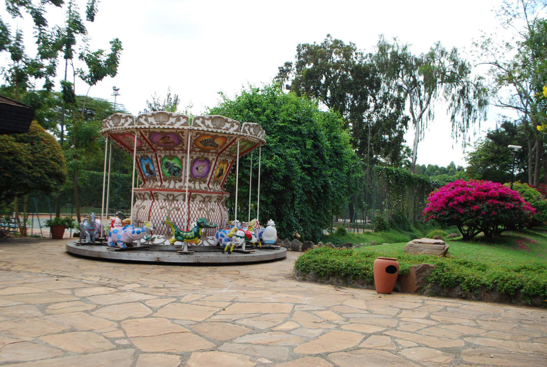 Карусель Hotel Safari Park