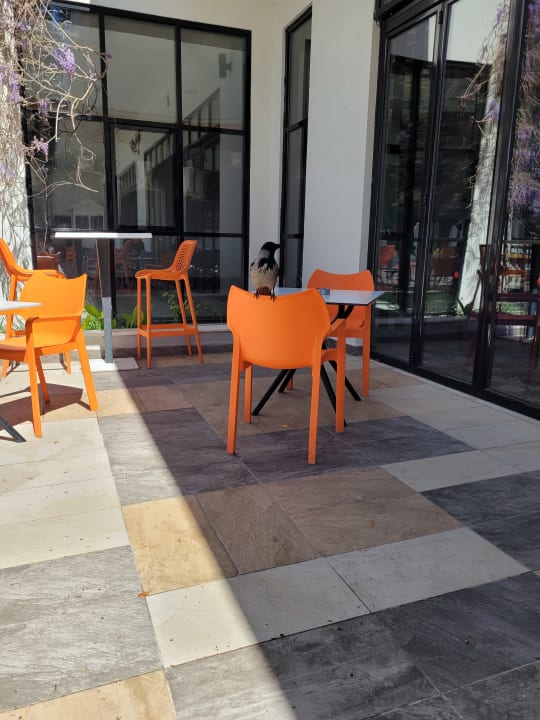 Gastro Seaden Valentine Resort & Spa