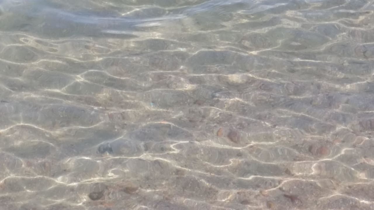 Klares Wasser und Fische Pickalbatros Alf Leila Wa Leila Resort - Neverland Hurghada