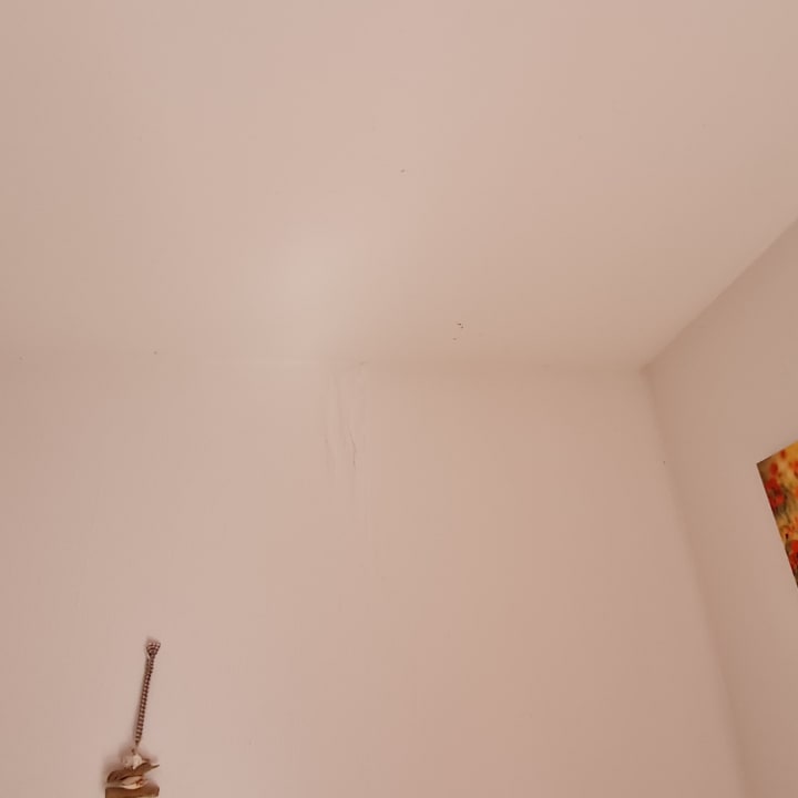 Zimmer Ferienwohnung Drei Eichen II