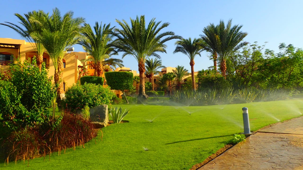 Gartenanlage Steigenberger Coraya Beach - Adults only