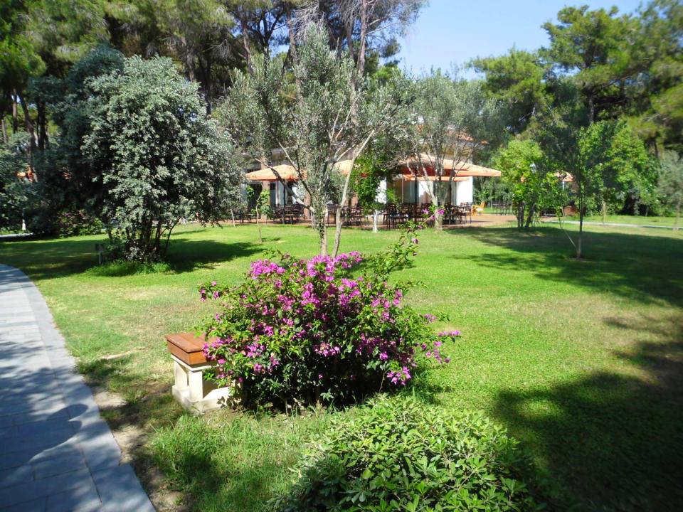 Cafe im Park Ali Bey Resort Sorgun
