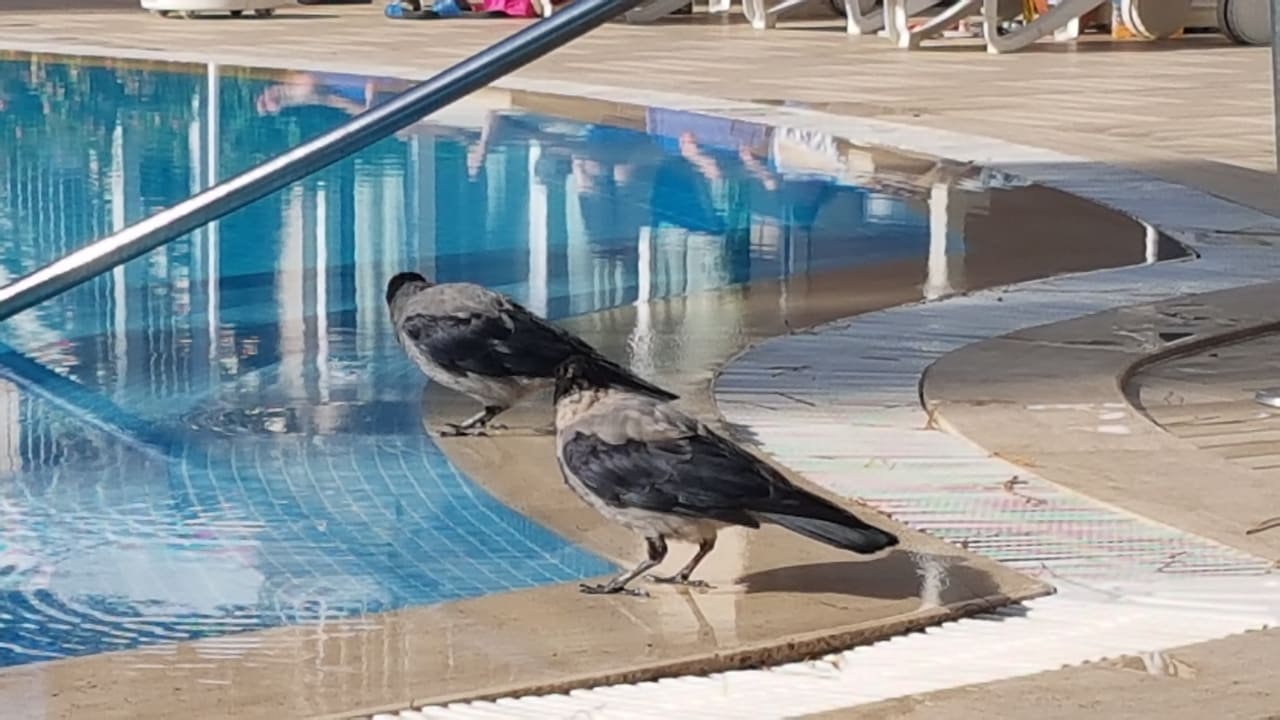 Sonstiges Labranda Alantur Resort