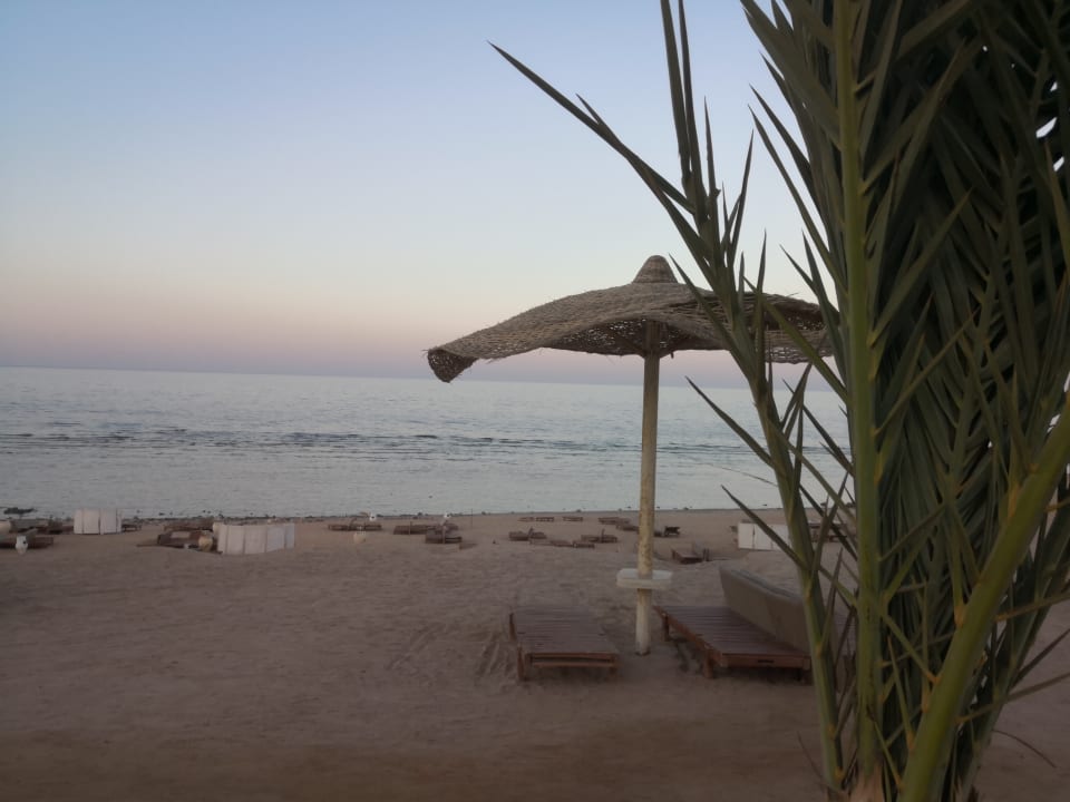 Strand Serenity Alpha Beach