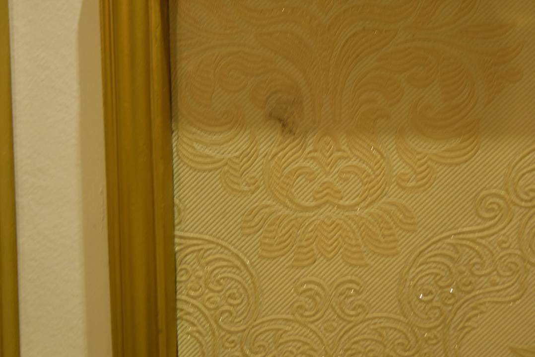 Beginning of mould on a tapestry Hotel Thaison Palace