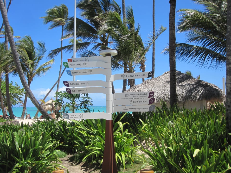 Gartenanlage Hotel Grand Palladium Palace Resort, Spa & Casino