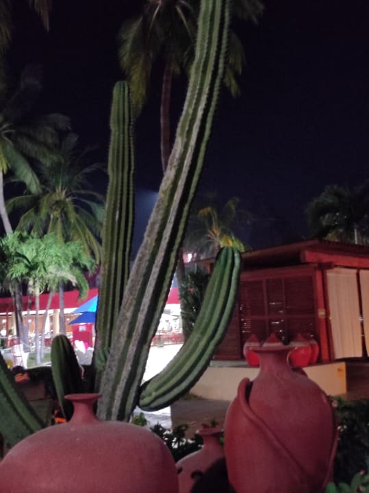 Gartenanlage Grand Decameron Complex