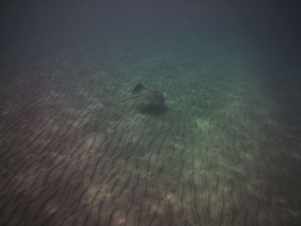 Sport & Freizeit Three Corners Equinox Beach Resort