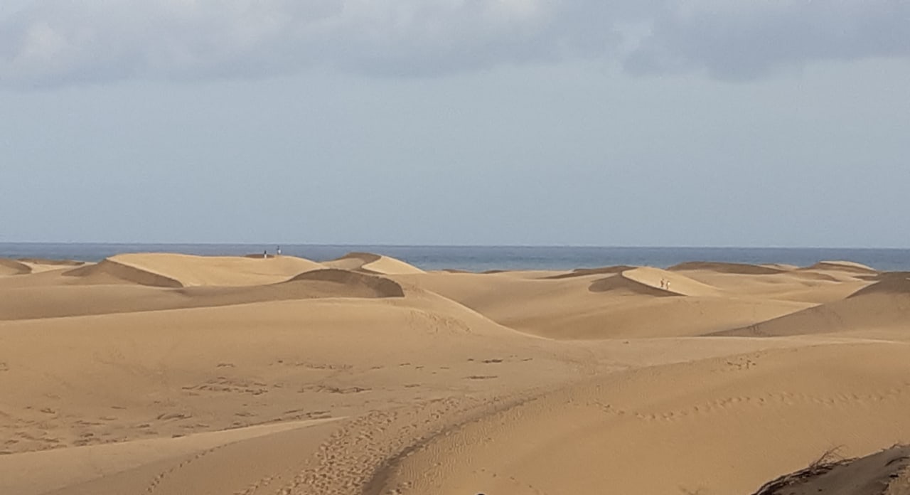 Ausblick Hotel Riu Palace Maspalomas Adults Only