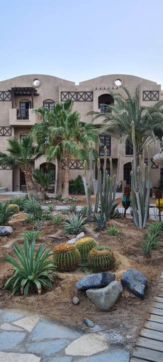 Gartenanlage Cook's Club El Gouna