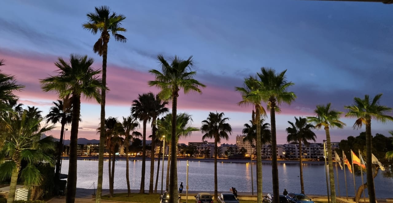 Zimmer Alcudiamar Marina Residence