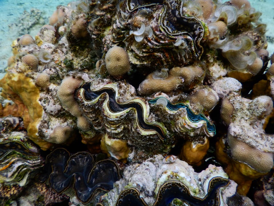 Sport & Freizeit Radisson Blu Resort, El Quseir