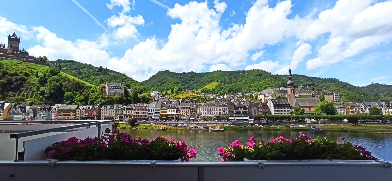 Ausblick Moselstern Hotel Brixiade & Triton
