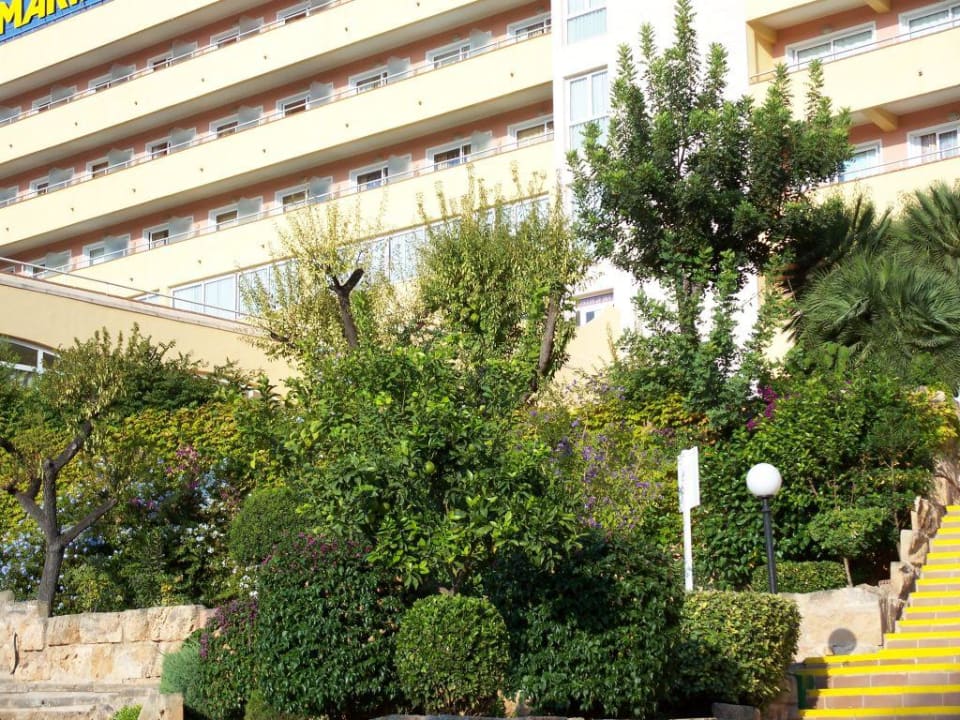 Garten und Hotel Sallés Hotel Marina Portals