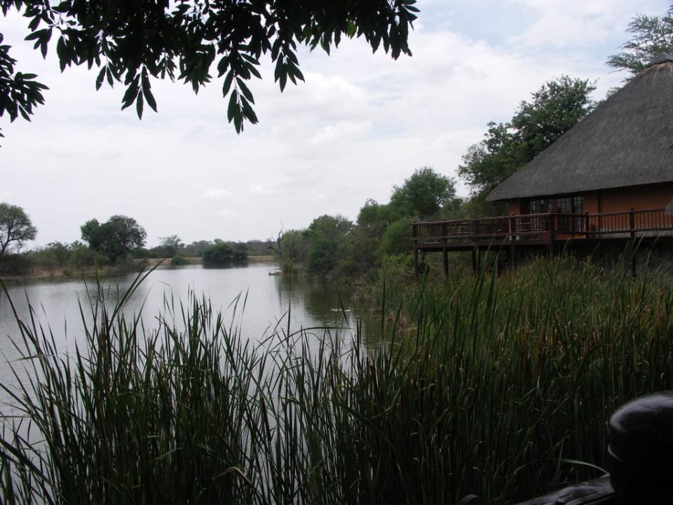 Die Lodge ist in die Natur integriert Hotel Kapama Game Reserve
