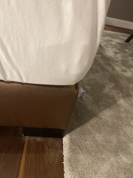 Zimmer Hotel Der Wilhelmshof