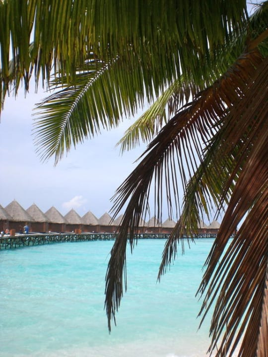 Blick auf die Wasserbungis Thulhagiri Island Resort
