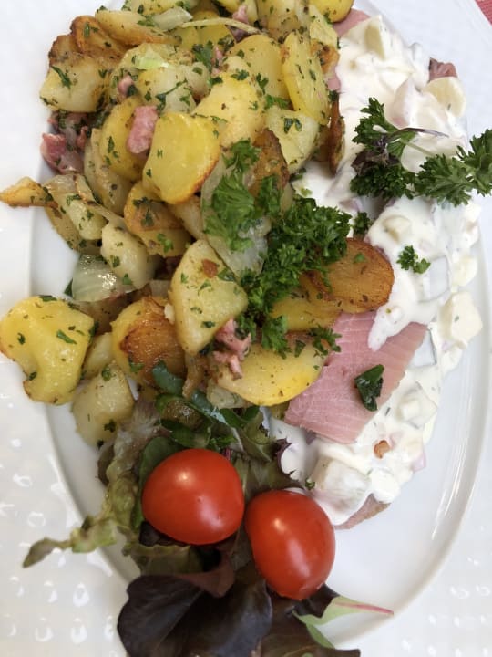 Gastro Hotel Luther Birke Wittenberg