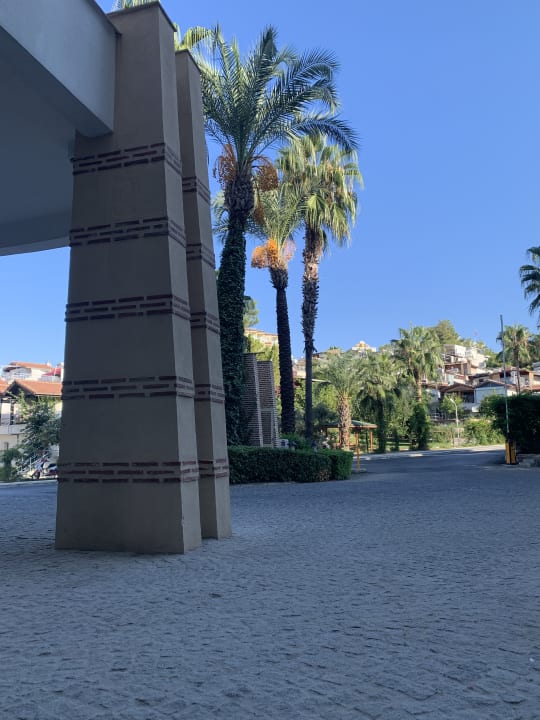 Sonstiges Trendy Palm Beach (Adults Only, 16+)