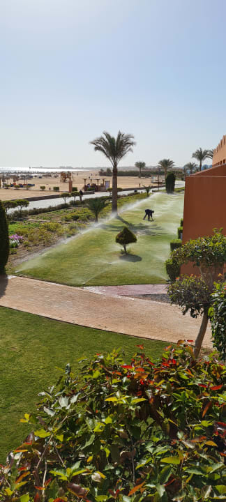 Ausblick Novotel Marsa Alam Beach Resort
