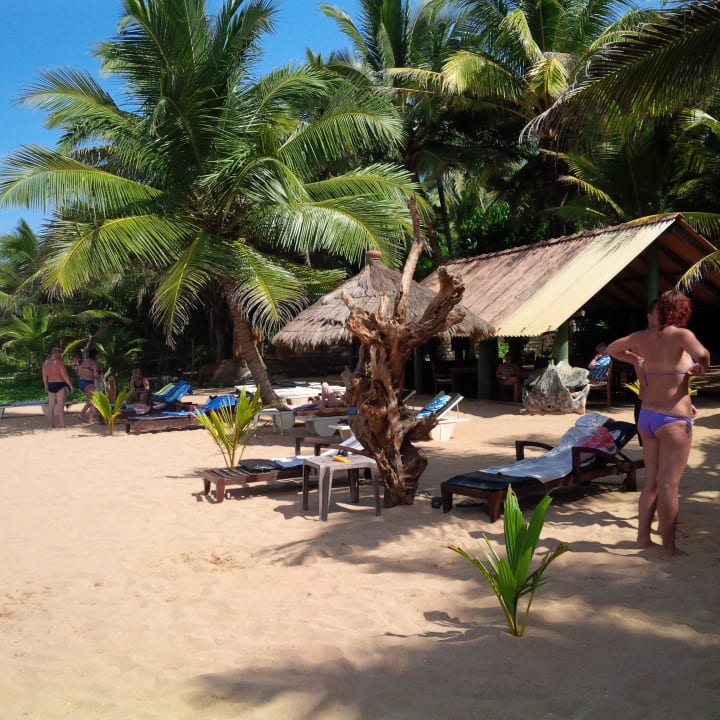 Beach Royal Beach Resort