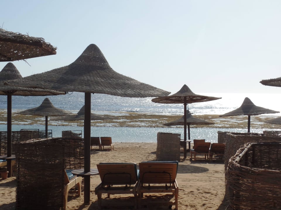 Am Morgen Akassia Swiss Resort