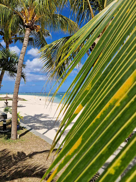 Ausblick Hotel Villas Caroline