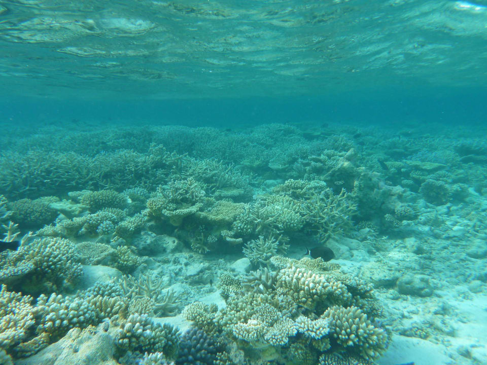 Riff Angaga Island Resort