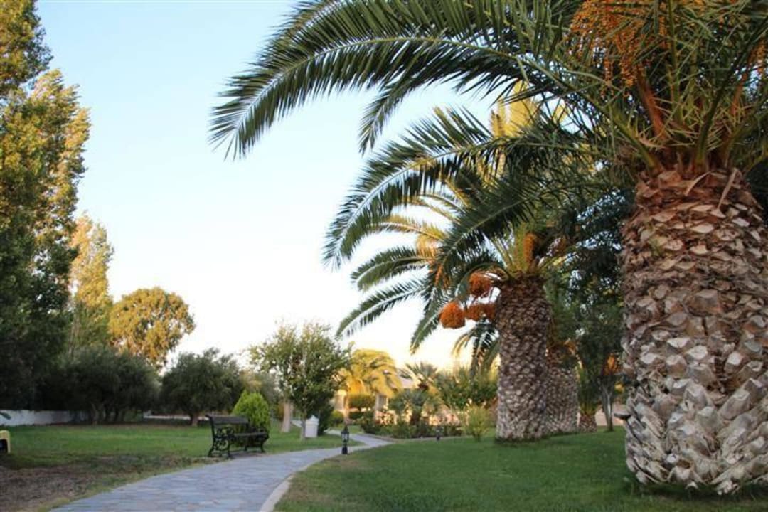 Garten Hotel Esperia